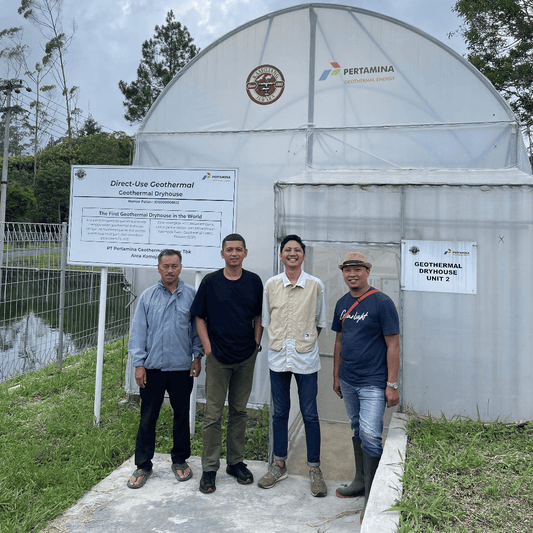 【OLD / NEW】コーヒー生豆 Kamojang GCP RI(Geothermal Honey Skin Contact)4kg真空パック