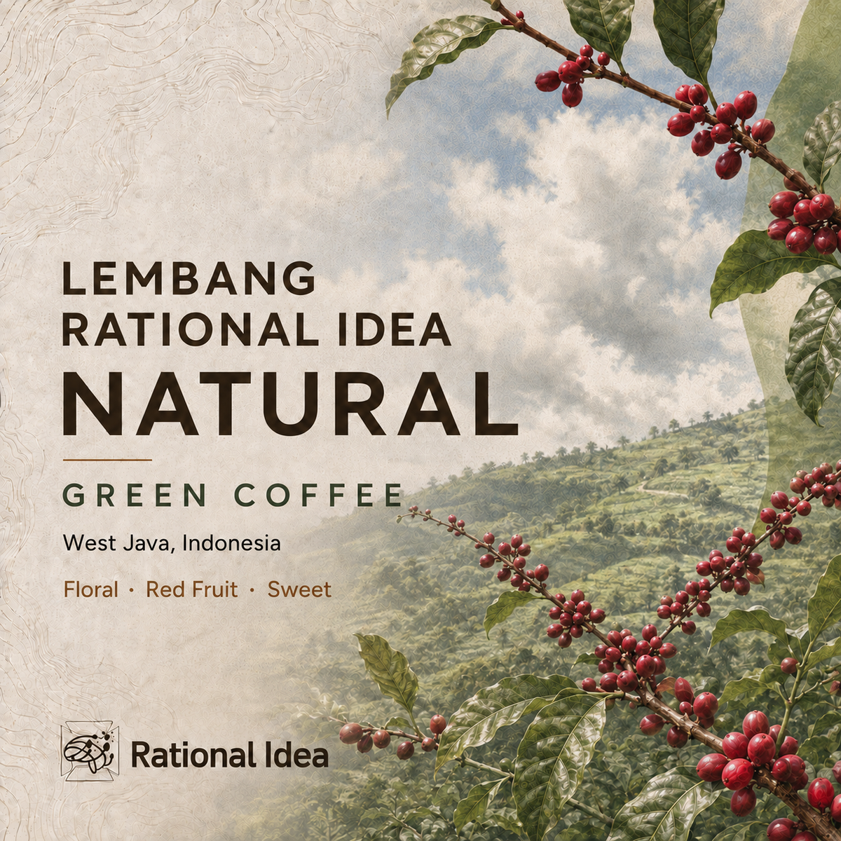 【完売】コーヒー生豆 Lembang Rational Idea RI｜Natural｜4kg