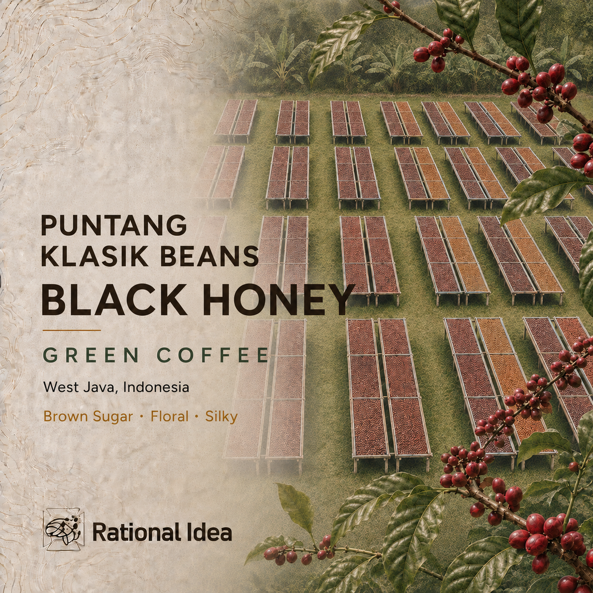 【NEW】コーヒー生豆 Puntang Klasik Beans RI｜Black Honey｜4kg