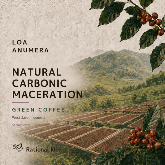 【完売】コーヒー生豆 Loa Anumera RI｜Natural Carbonic Maceration｜4kg