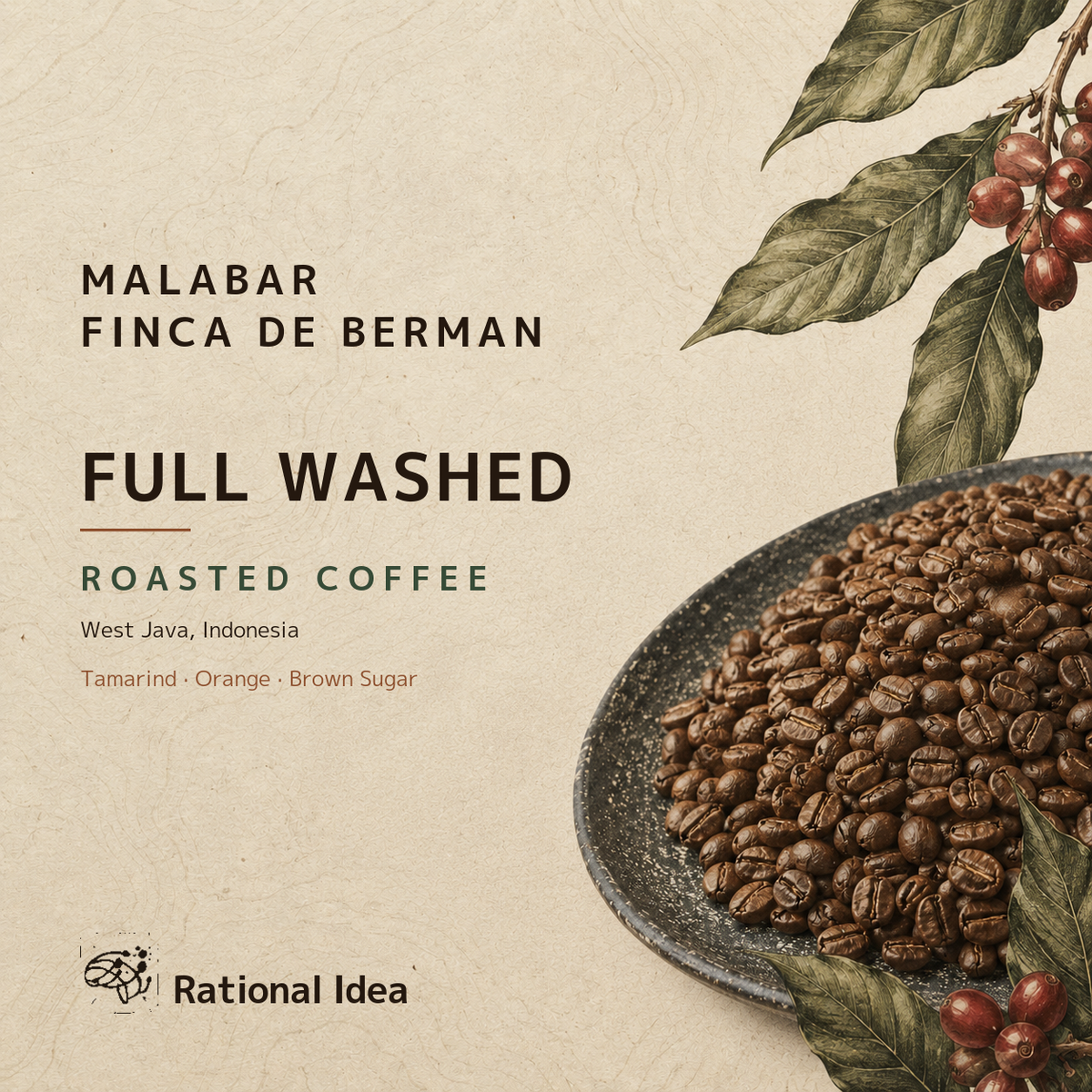 【完売】コーヒー焙煎豆（中深）Malabar FINCA DE BERMAN RI｜Full Washed｜3kg+αパック