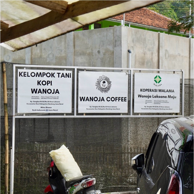 コーヒー生豆 Kamojang Wanoja RI（Geothermal Natural Quick Dry）4kg真空パック