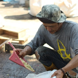 【残りわずか！】コーヒー生豆 Kamojang Wanoja RI（Honey）4kg真空パック