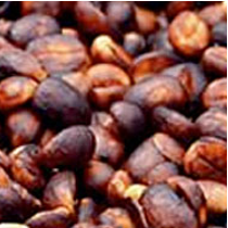 コーヒー生豆 Malabar Malabar RI（Black Honey）4kg真空パック