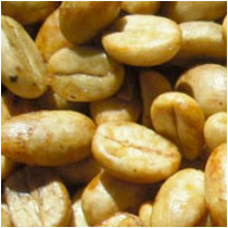 【完売】コーヒー生豆 Malabar Malabar RI（Yellow Honey）4kg真空パック