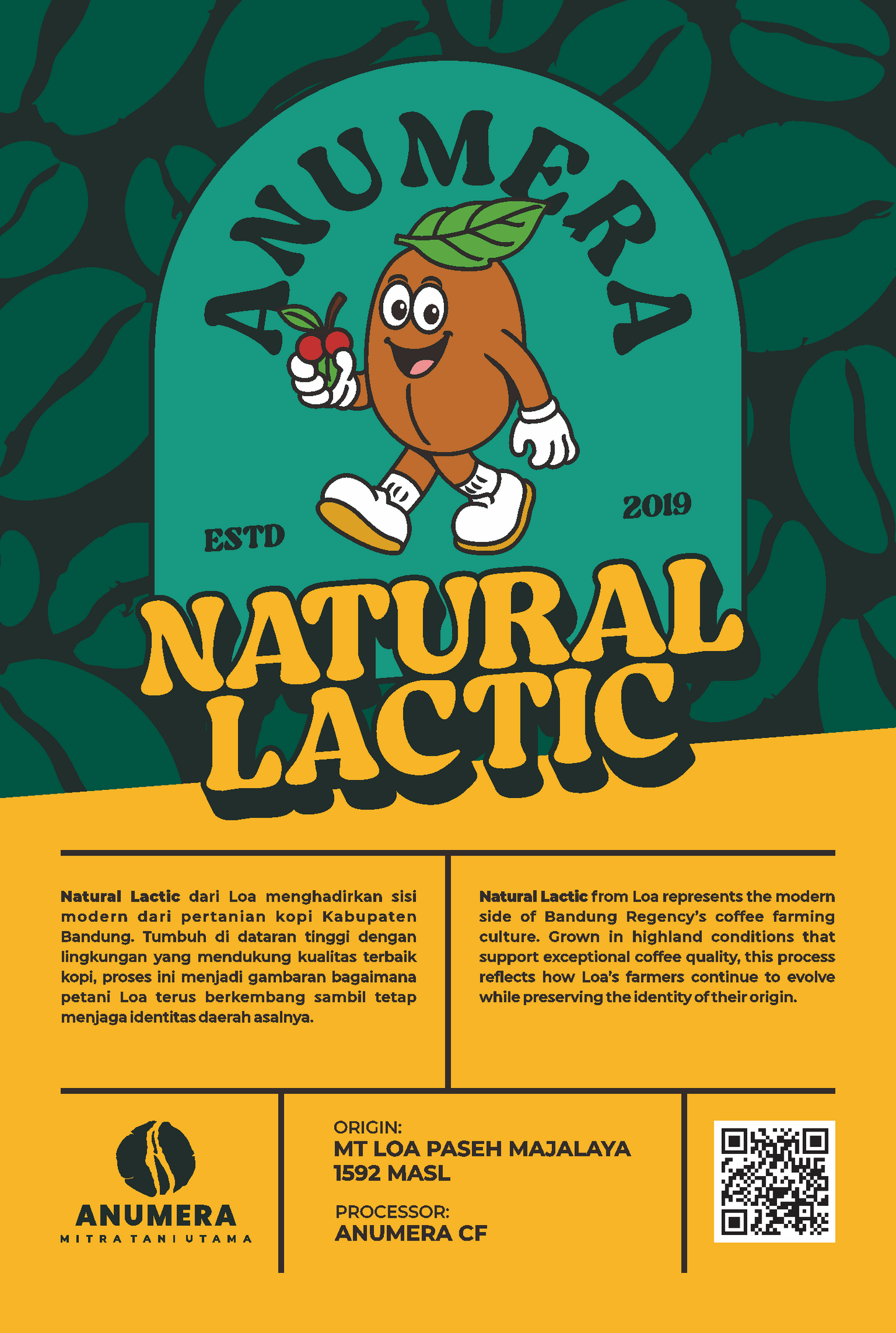 【NEW / 完売】コーヒー生豆 Loa Anumera RI（Natural Lactic）4kg真空パック