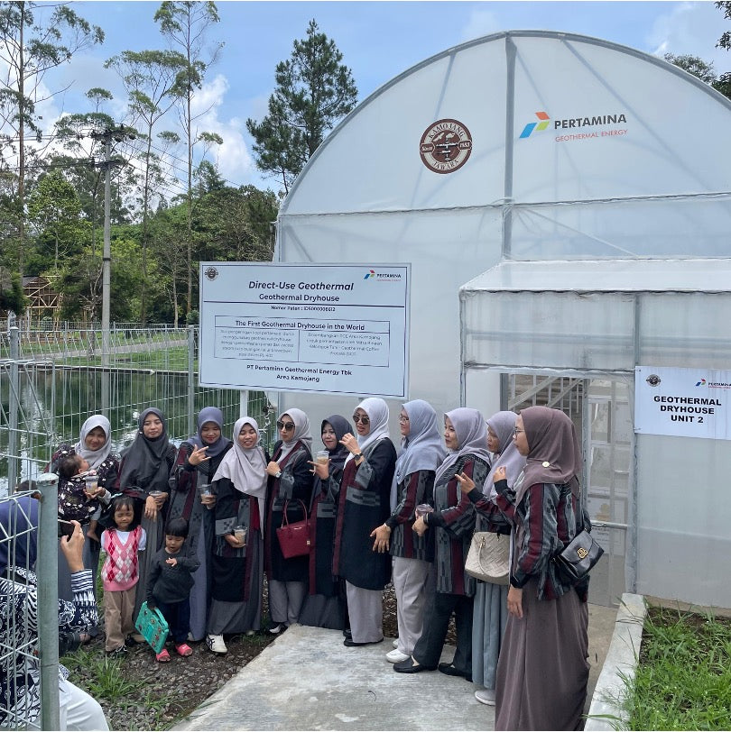 【完売】コーヒー生豆 Kamojang Wanoja RI（Geothermal Anaerobic Washed）4kg真空パック