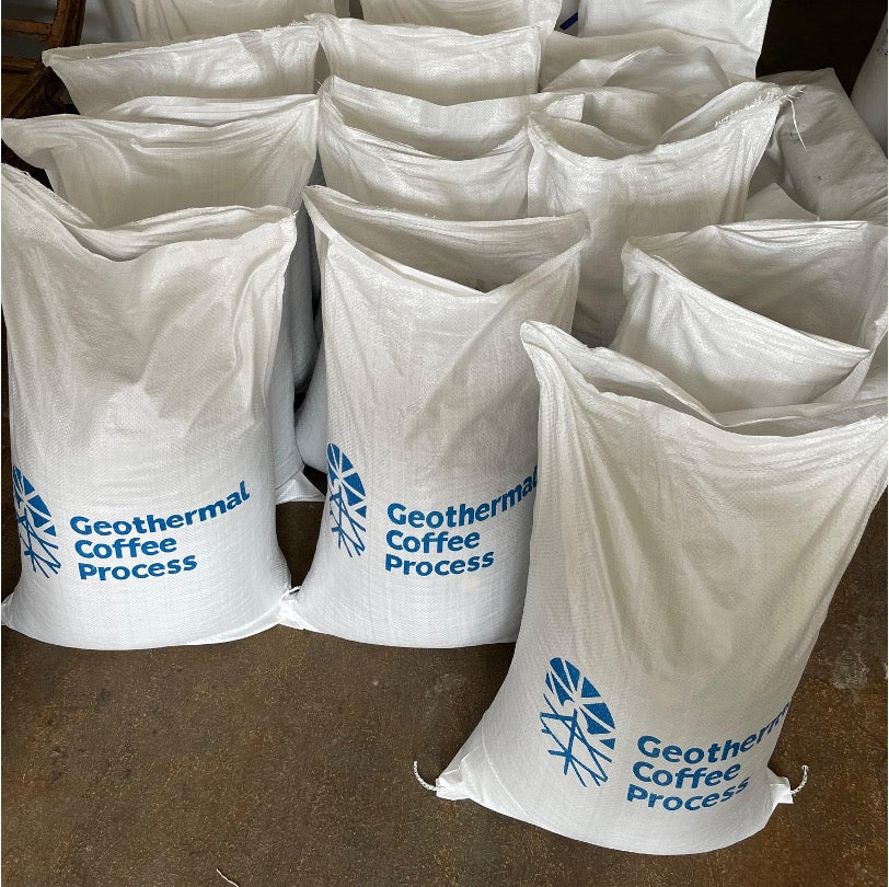 コーヒー生豆 Kamojang Wanoja RI（Geothermal Classic Washed）4kg真空パック