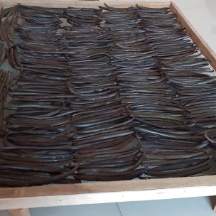 バニラビーンズ インドネシア産 タヒチ種 グレードA（グルメグレード）1kg（100g×真空10パック）